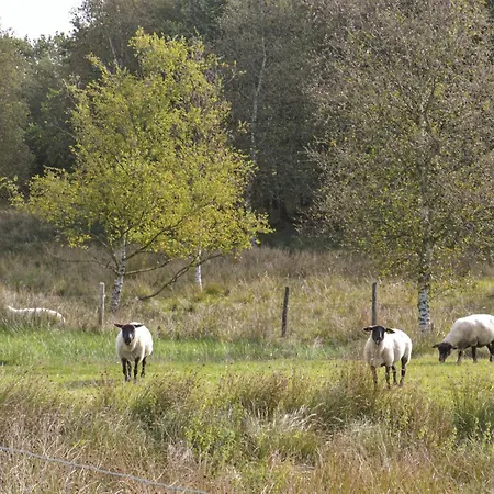 2 Bedroom Cozy In Grindsted