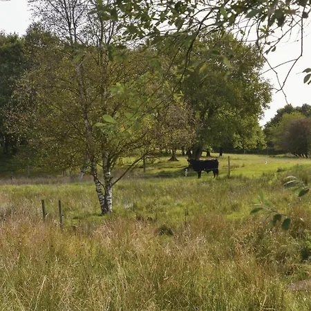 Prázdninový dům 2 Bedroom Cozy In Grindsted